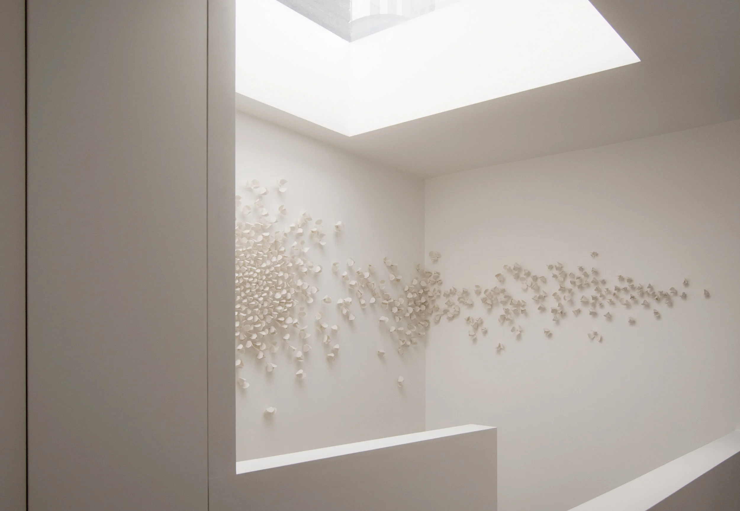 William Tozer_Modern Terrace 09.jpg
