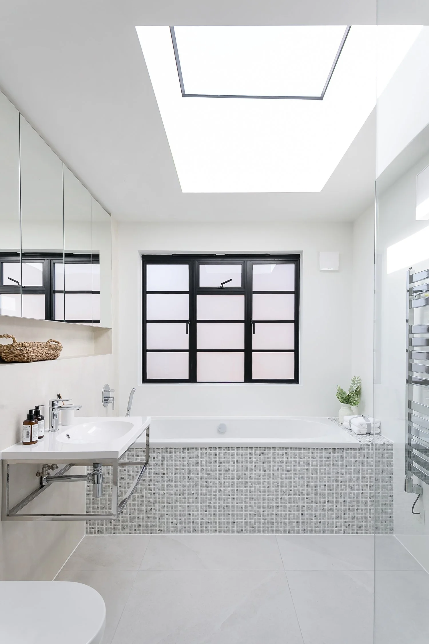 Monument House 16_Williamtozerassociates_bathroom-rooflight.jpg