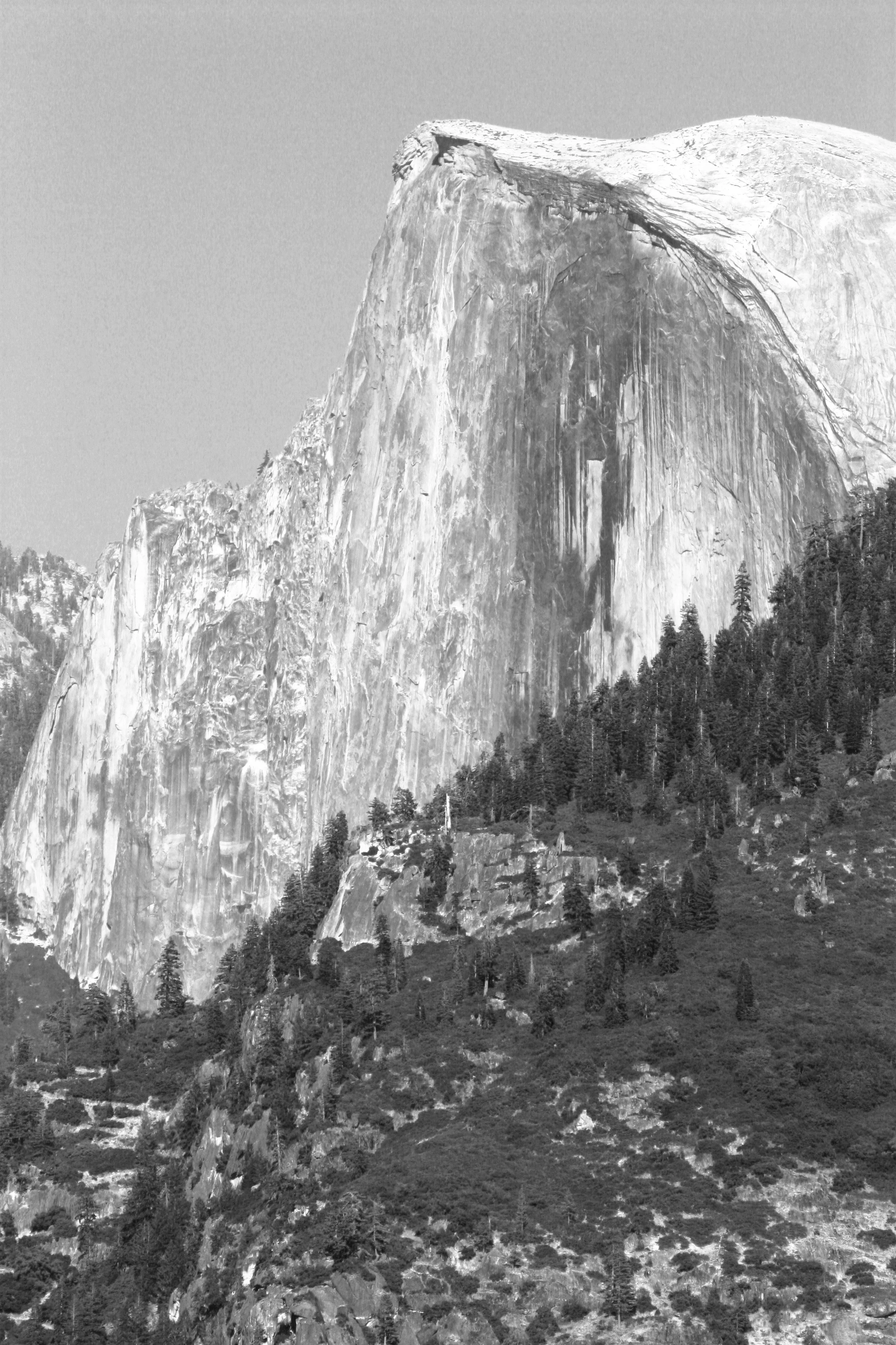 Half Dome B&W IMG_3931.jpg