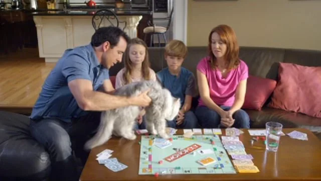 Monopoly Cat