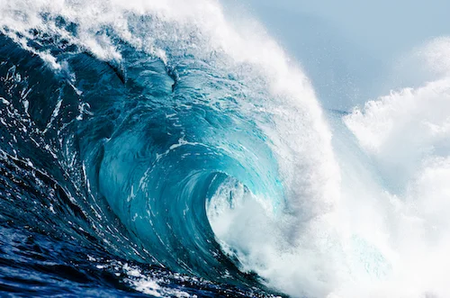 Action-Card-Blog--Observe-the-Emotional--Mind-the-Wave.jpg