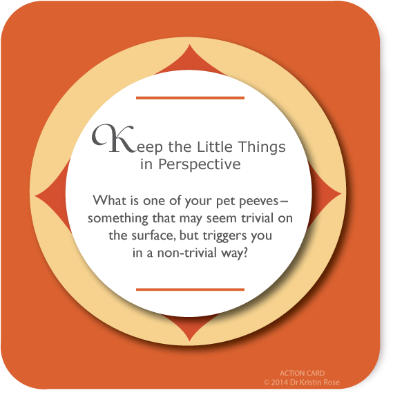 Keep the Little Things in Perspective - Assess the Stress - Action Card Blog - Dr. Kristin Rose