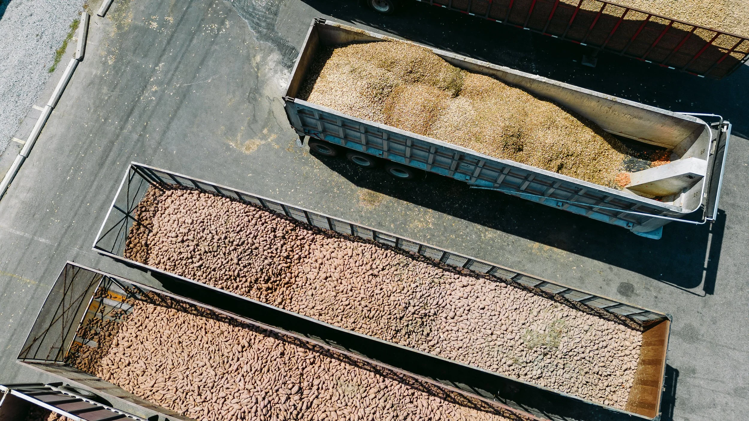 DJI_0062.jpg