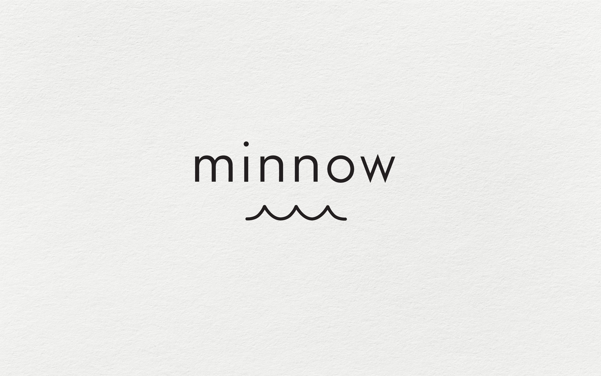 JDS_Portfolio_Minnow.jpg