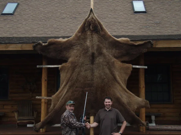10-ft-brown-bear-hide - Copy.jpg