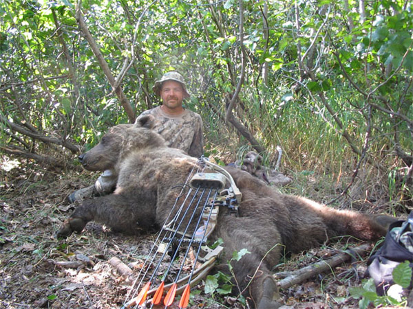 archery-brown-bear.jpg