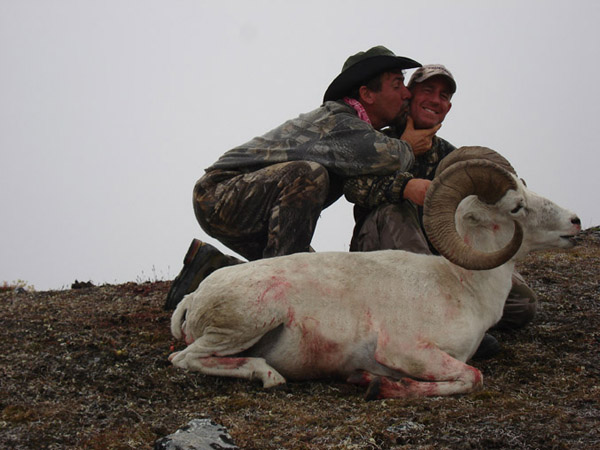 Dall Sheep - Alaska 030.jpg