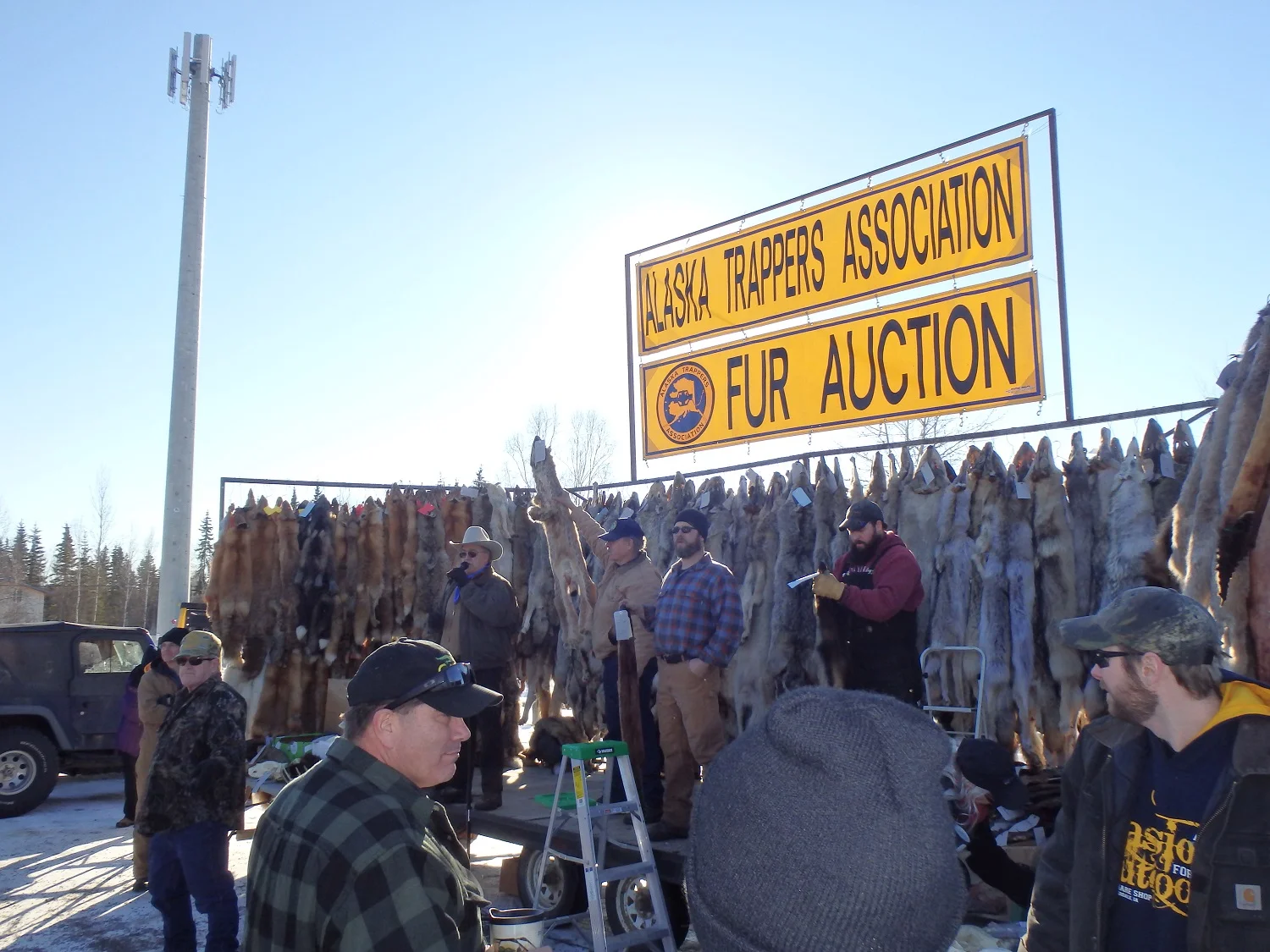 Аукцион Пушнины в Фэйрбенксе