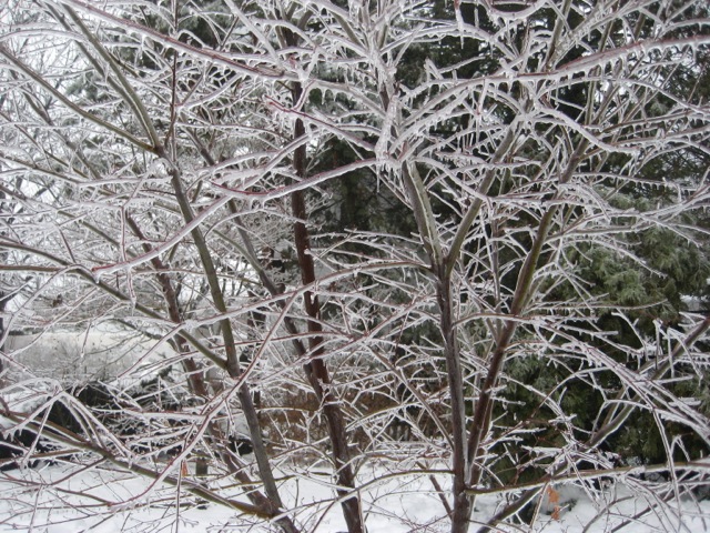 IMG_4720.jpeg