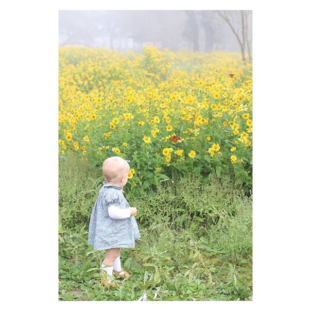 Today I&rsquo;m so very thankful that I get to vote.  I took all three of my children with me to experience it and at the end they said &ldquo;that was really fun mama.&rdquo; I love learning through them.  Go out and exercise your right...and have a