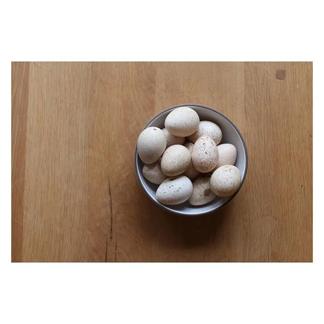 Behold the beautiful incredible edible turkey egg from my new favorite spot in town @roamranch !  We&rsquo;ve also ordered our turkeys from them...one big Tom and a dainty Hen for Thanksgiving and it&rsquo;s not too late to order yours!  They even ha