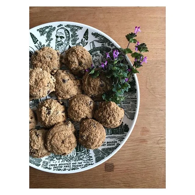 Henbit, tigernut flour chocolate chip cookies, and the Almost Patsy Cline Band...these are a few of my favorite things right now and tonight you can see the Almost Patsy Cline Band at Hondos so yay for that!! Happy Friday!