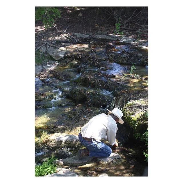 Did I ever tell y&rsquo;all about the time I met Bill Neiman, creator of Native American Seed.  I was a total creepster and took this pic of him as he was sipping water from the springs of a ranch following in Bamberger Ranch Preserves footsteps to r