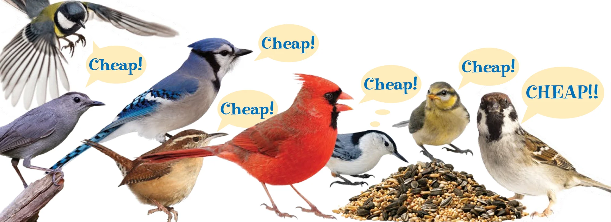 birdseed.jpg