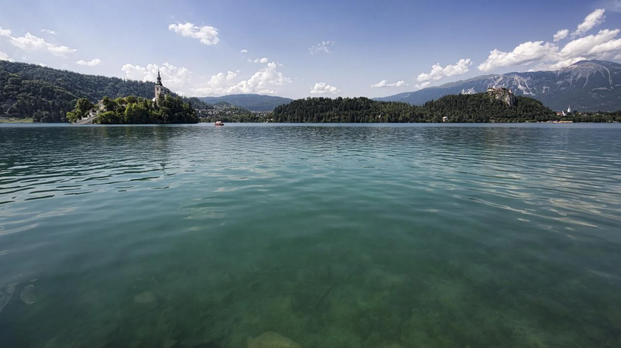 Slovenia: Forging a Way Forward