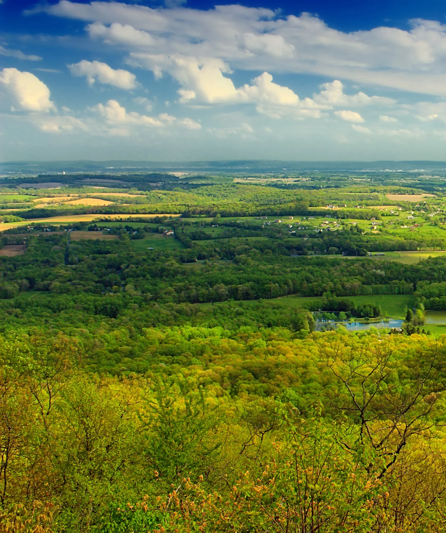 Earth Day - April 22, 2014