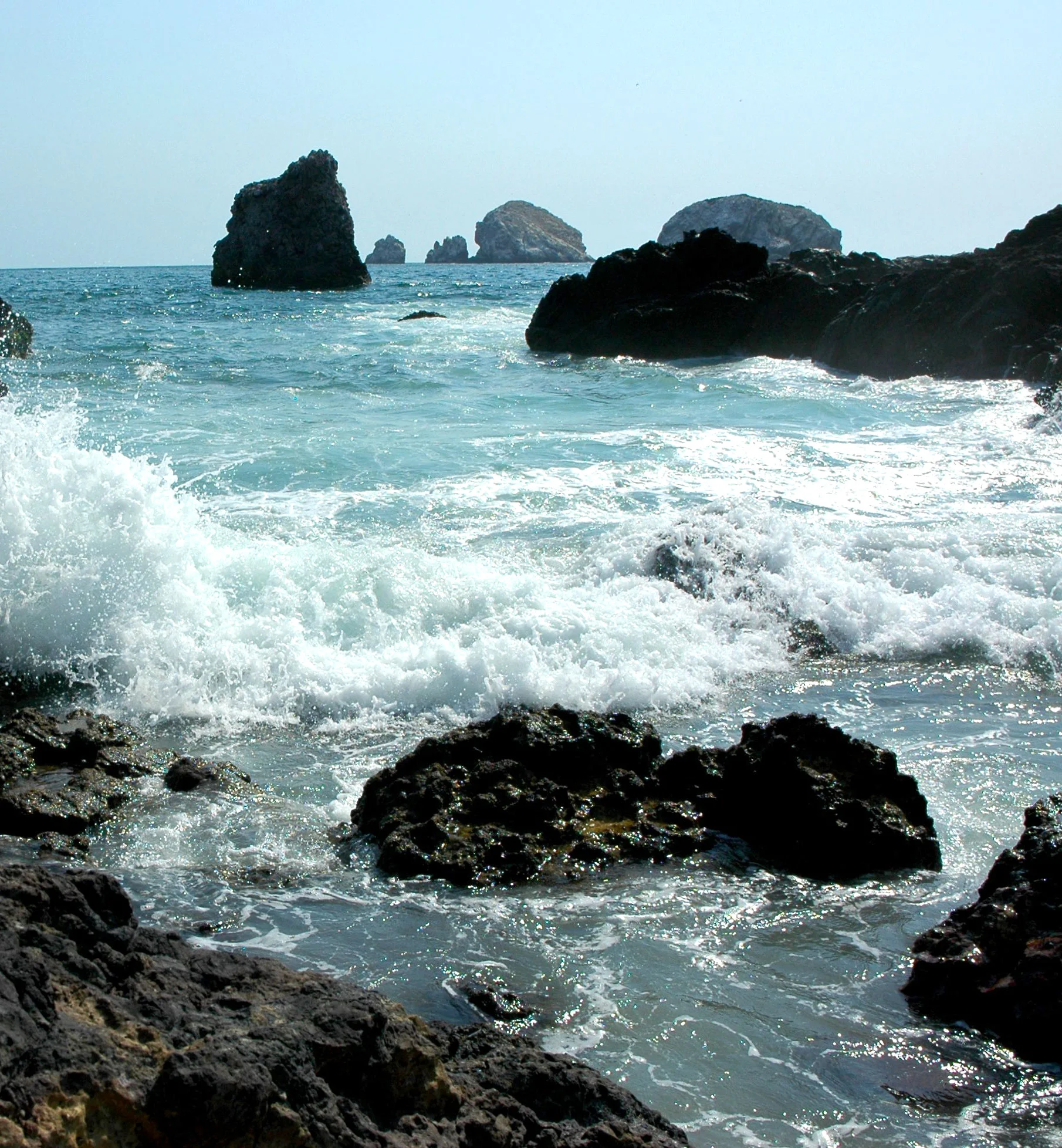 The Oceans in Crisis