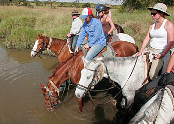 travel_picture_horserest.jpg