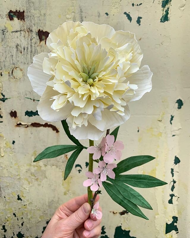 We may be tattered but holding together in hope for future days.....sharing a pale yellow paper peony on this Tuesday afternoon.
.
.
#woodlucker #annwood #papercrafts #paperflowers #paperart #paperartist #dsfloral #springblooms #aquietstyle_spring #f