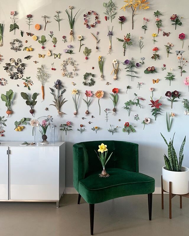 A bit of sunshine came in a email this week. &ldquo;Royal Blue&rdquo;, the exhibit this paper botanical wall is part of @kunstmuseum.nl, is moving towards opening June 20 through November 22. .
.
The museum is going to do social distancing ..... hopi