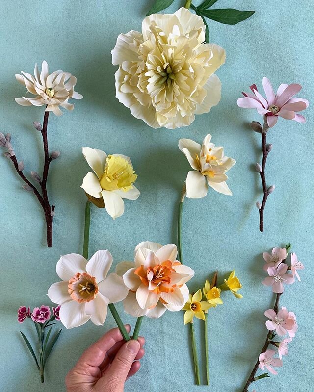 Calming paper blooms this Saturday morning. .
.
#woodlucker #annwood #dsfloral #gardenflowerslovers #botanicalillustration #botanicalart #antiquestyle #paperflowers #papercrafts #paperart #paperartist #paperart #inspiredbypetals #inspiredbynature #pa