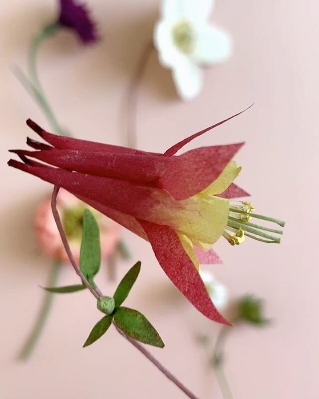 I&rsquo;ve been creating these paper flower fragments from what&rsquo;s blooming in the garden right now. I&rsquo;ve also been listening and learning....deeply moved by the powerful voices of black men and women. .
.
#woodlucker #annwood #papercrafts