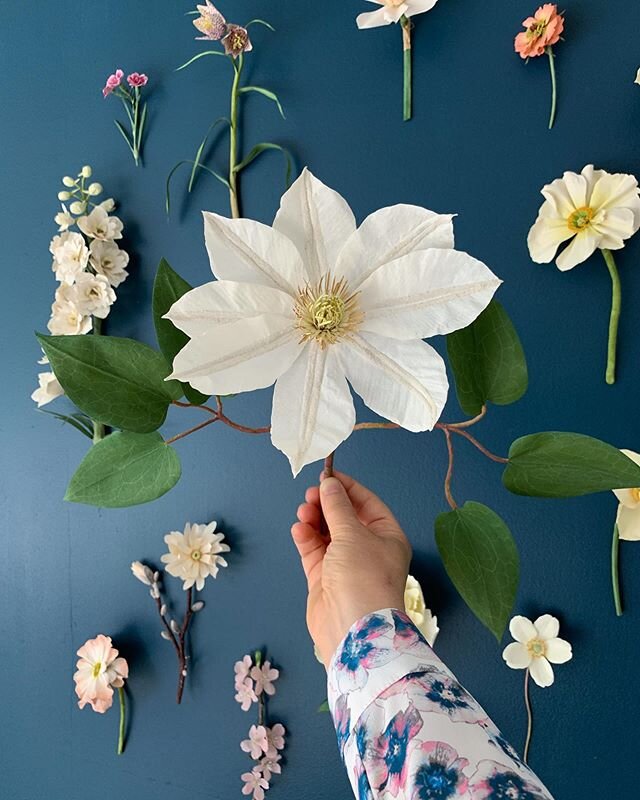 In the hand, on the wall...clematis joins the others. .
.
I&rsquo;m still working at home (not at my studio). Yesterday I gave into painting a wall in the garage as a photo area....got the job done, all about making things work with what I have.
.
.
