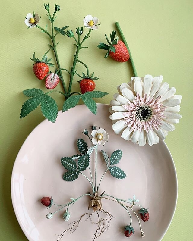 Pink and green/strawberries and flowers
.....bits of the season in paper .
.
#woodlucker #annwood #dspink #papercrafts #paperflowers #paperart #paperartist #sculptureart #papernotpicked #ilovepaper #papercreations #seasonalfloweralliance #springbloom
