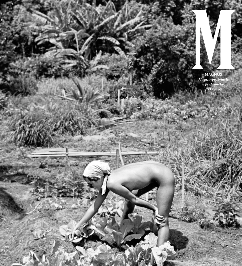 Screen Shot 2020-03-26 at 10.45.01 PM.png