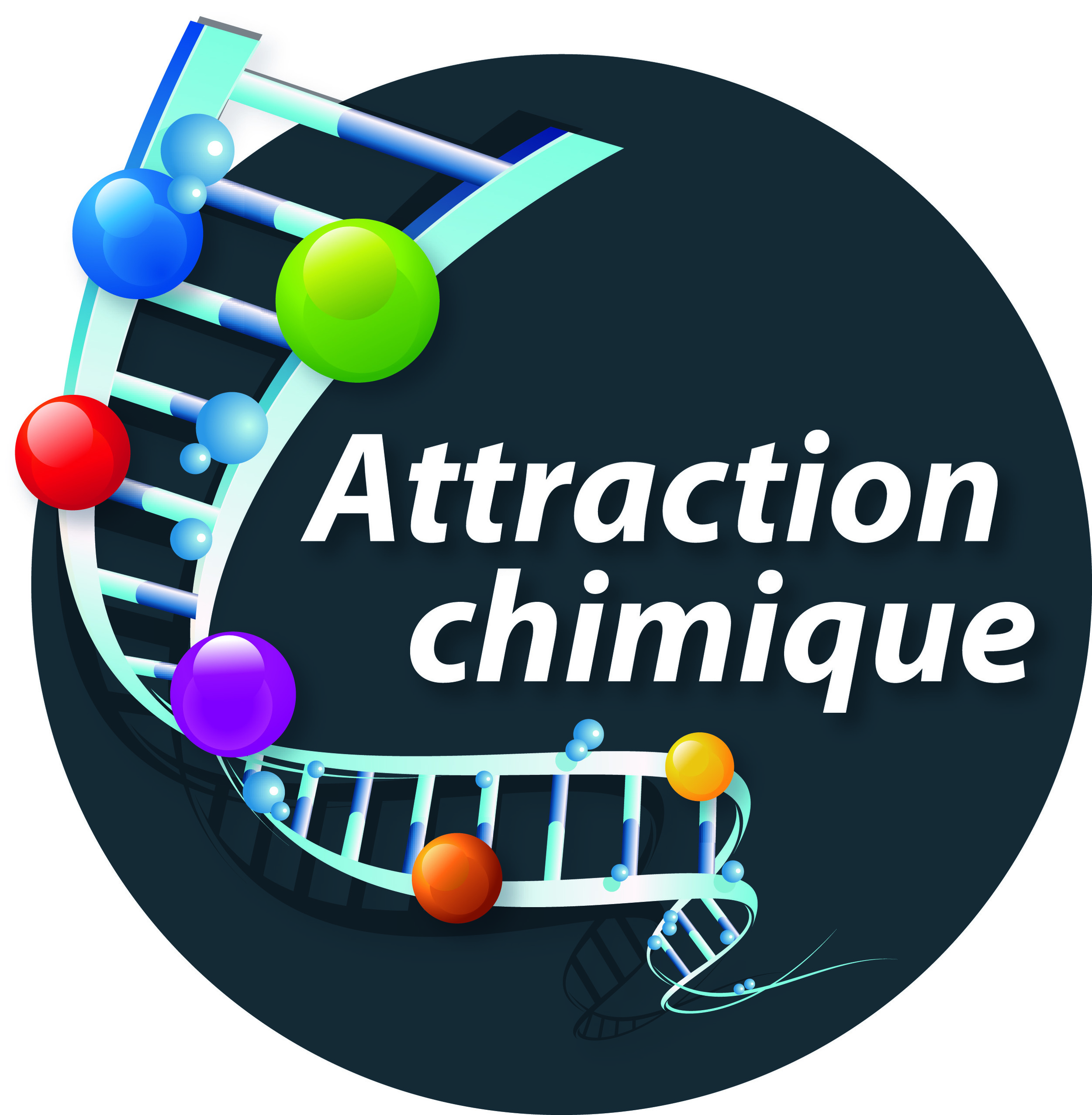 Attraction chimique.jpg