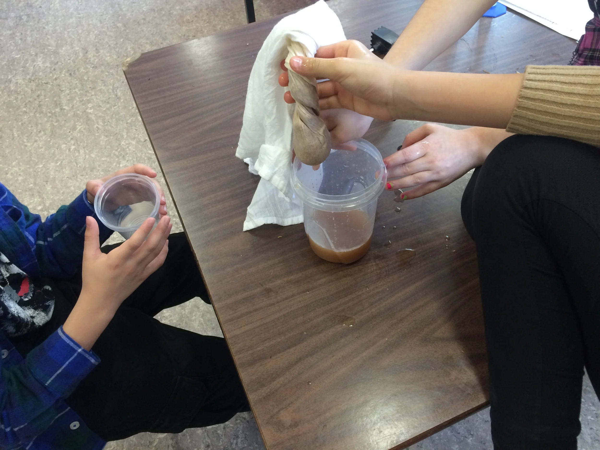Atelier no 3 : Filtration du jus de pomme