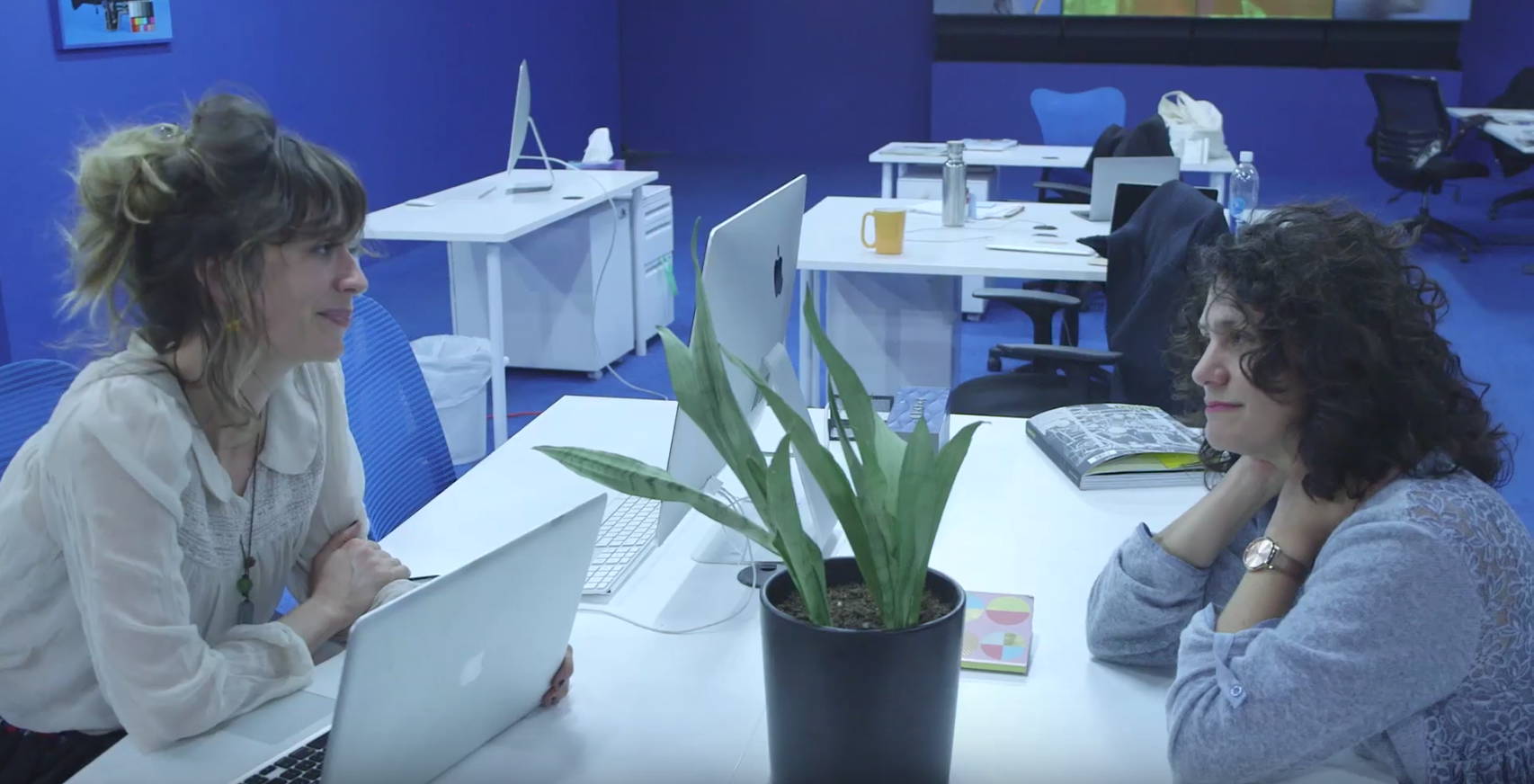 Screen Shot 2017-07-13 at 11.25.49 AM.png