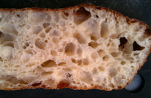 Ciabatta, crumb shot