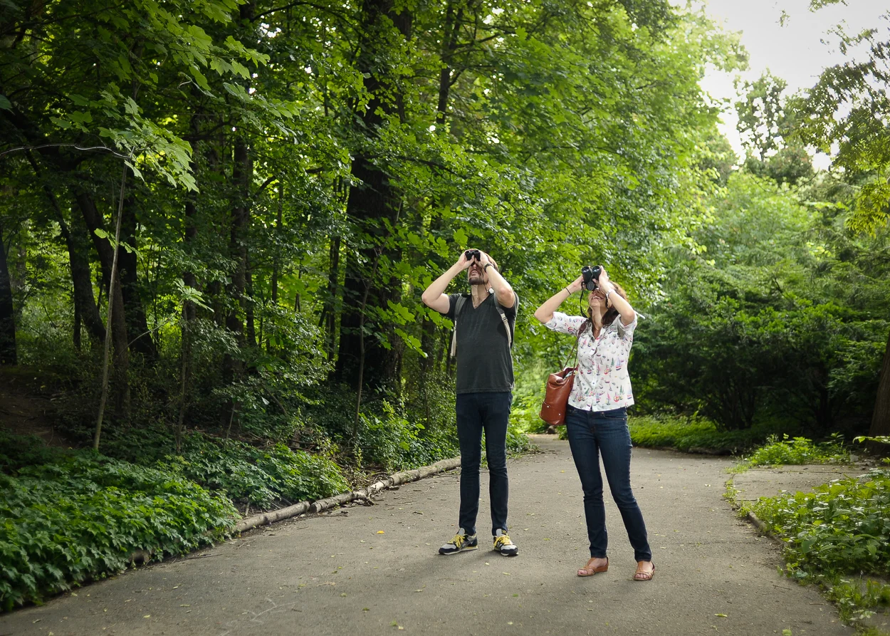 creepy-park-9719.jpg