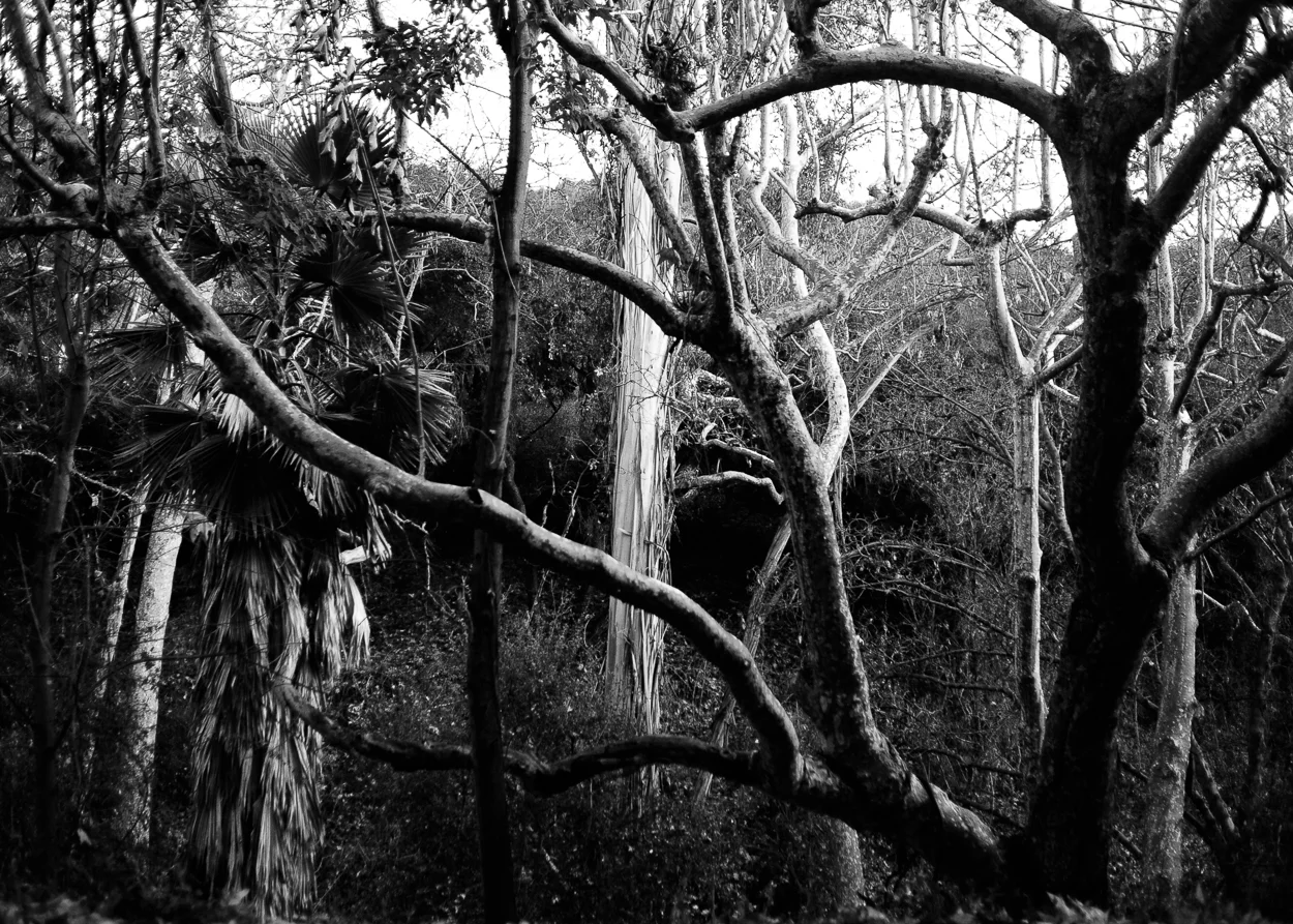 franklincanyon-5006.jpg
