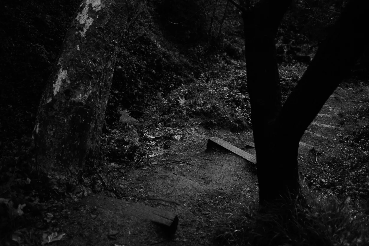 franklincanyon-5022.jpg