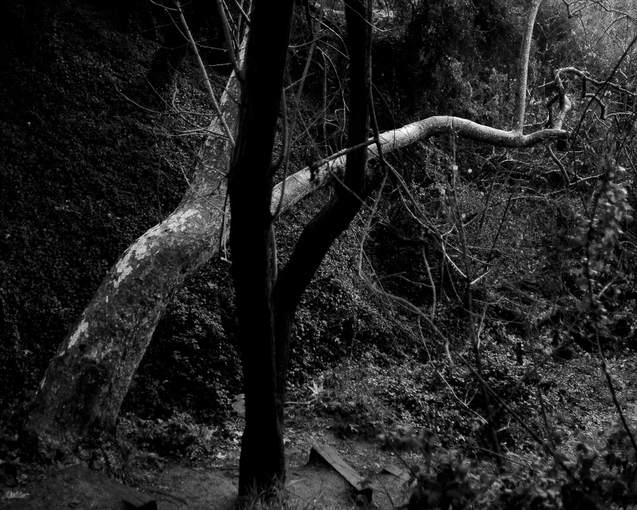 franklincanyon-5031.jpg