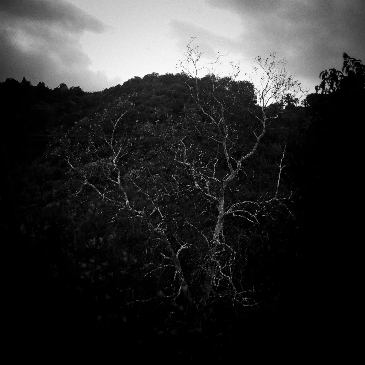 franklincanyon-5074.jpg