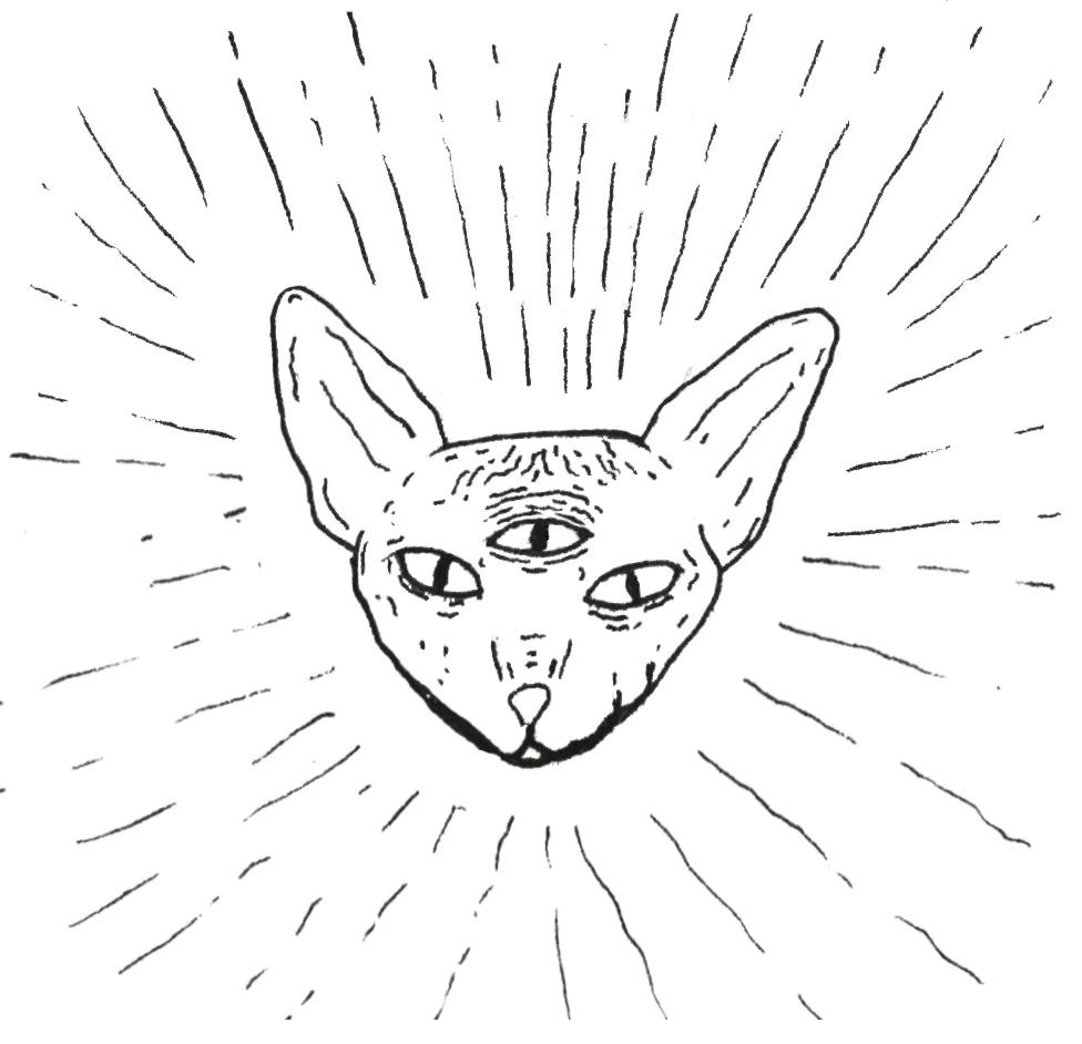 threeeyedcat.jpg