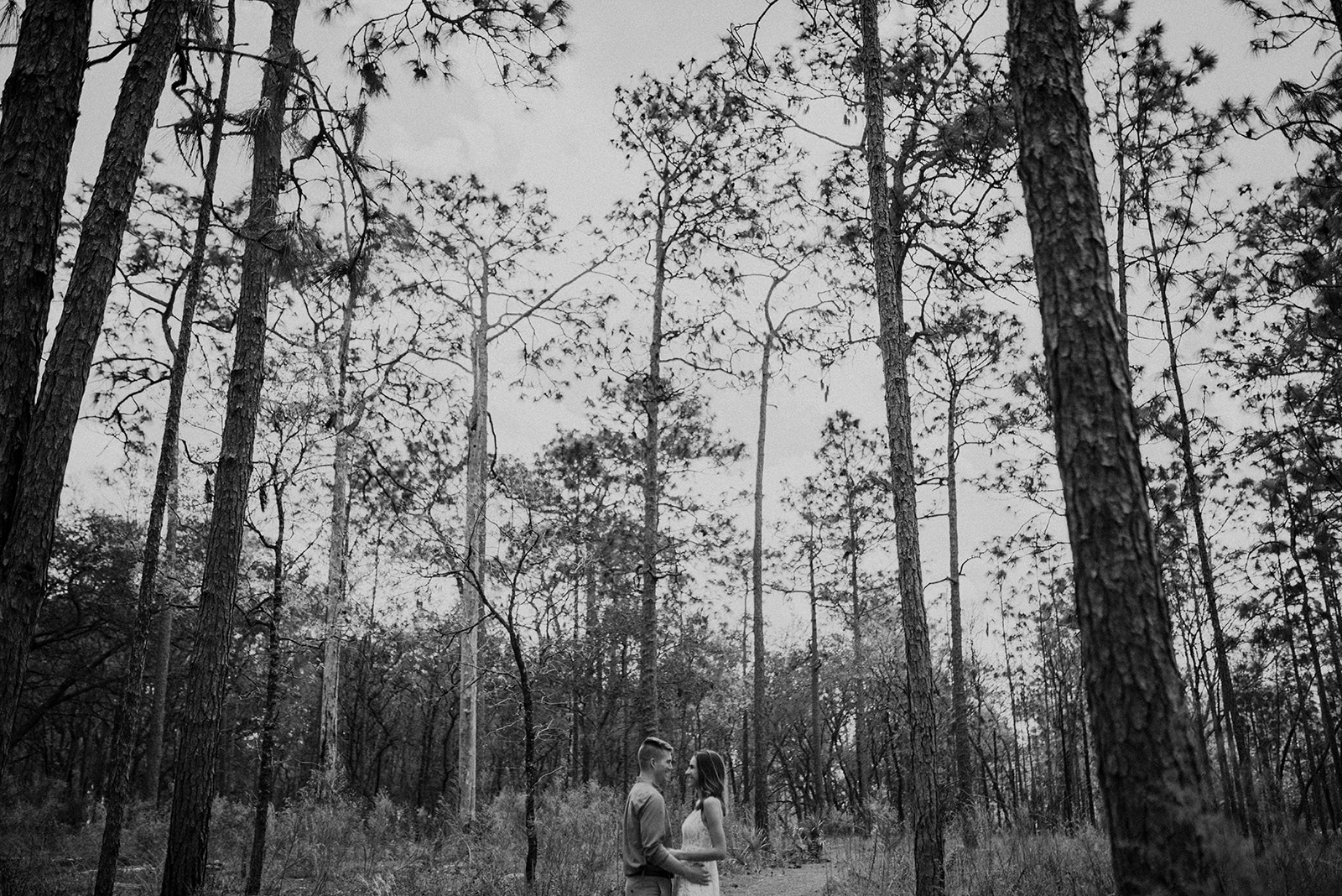 Orlando Engagement session at Wekiva Springs State Park, oak and iron photography