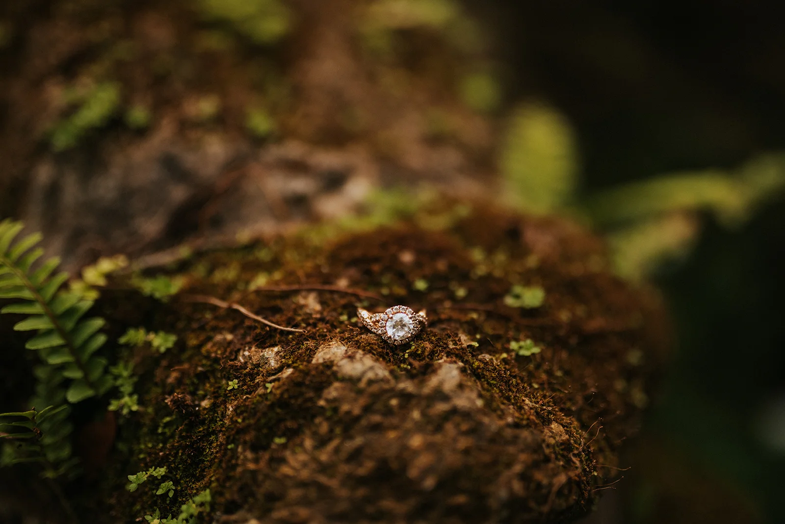 florida engagement photographer port orange