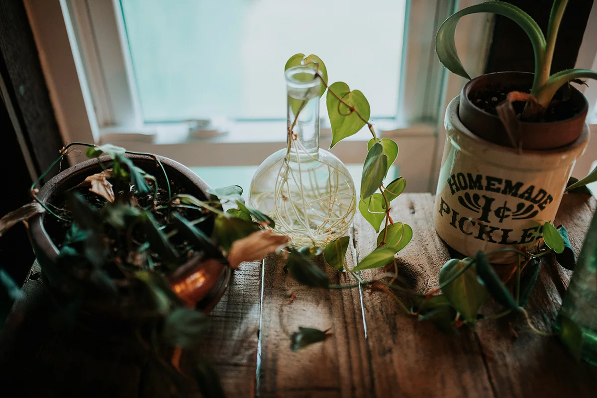 Kate+James_110.jpg