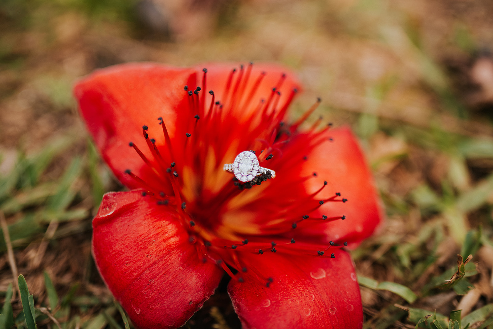 saintpetersburgfloridaengagementphotos_095.jpg