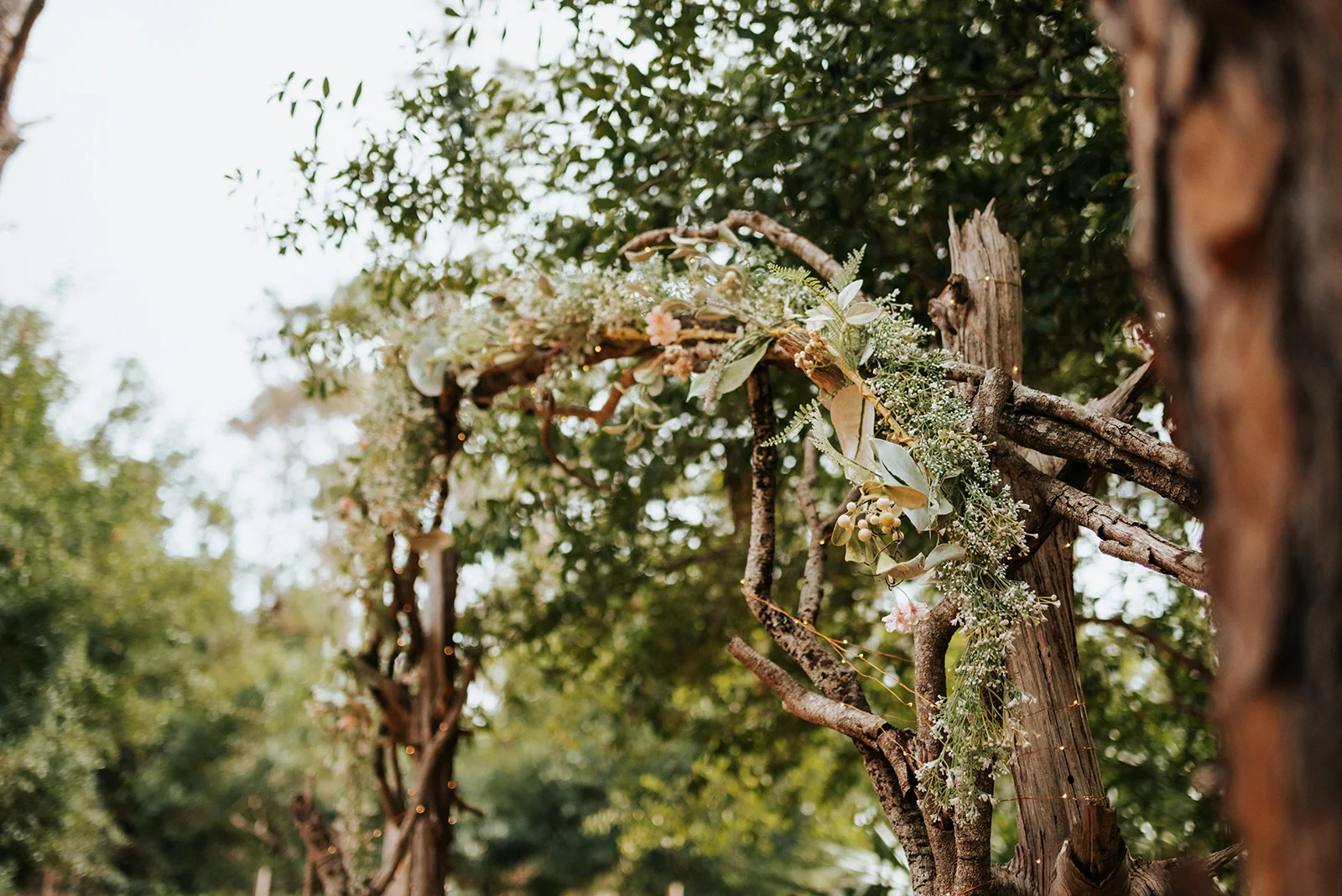Julia+Tim_0116.jpg