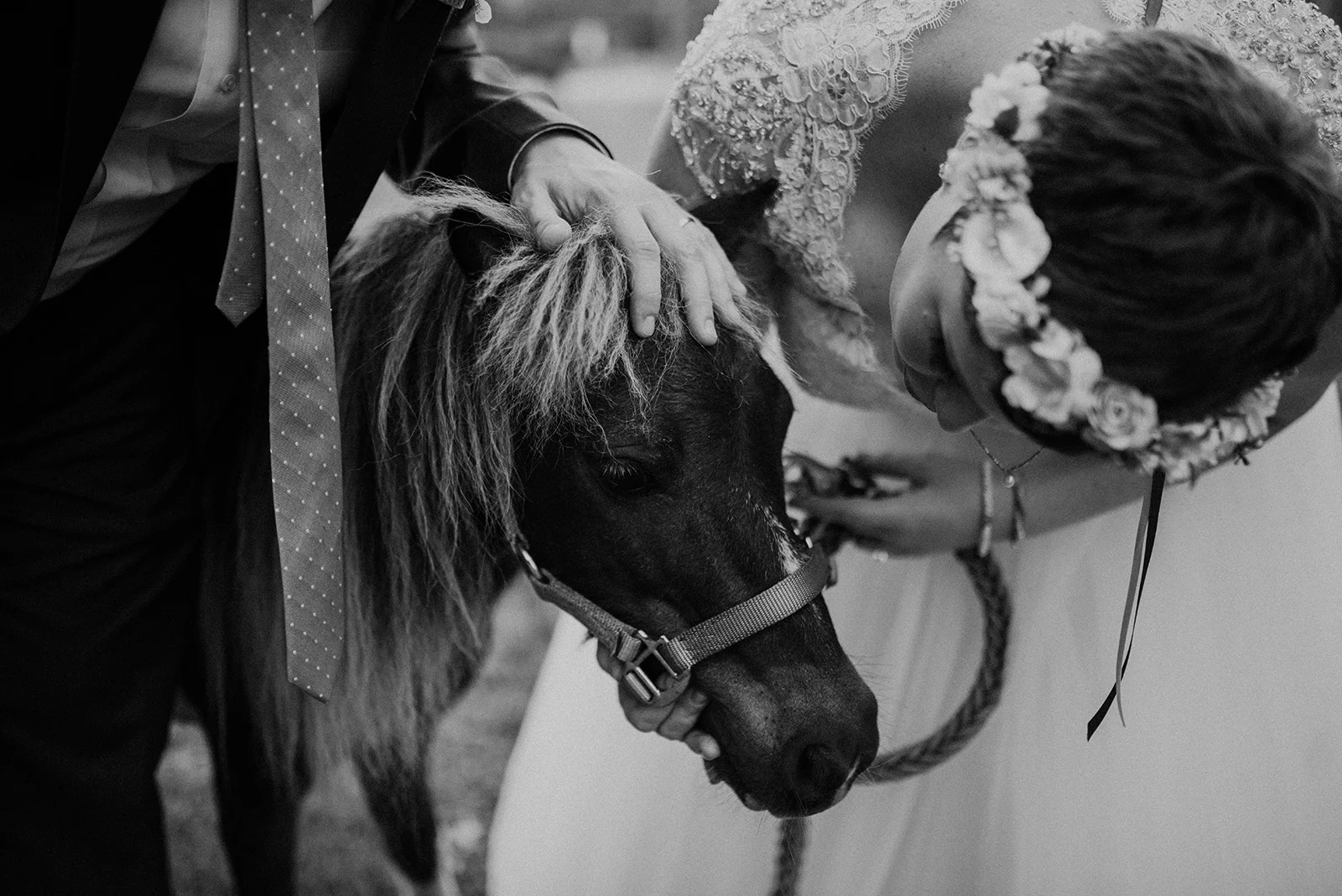 Julia+Tim_0600.jpg