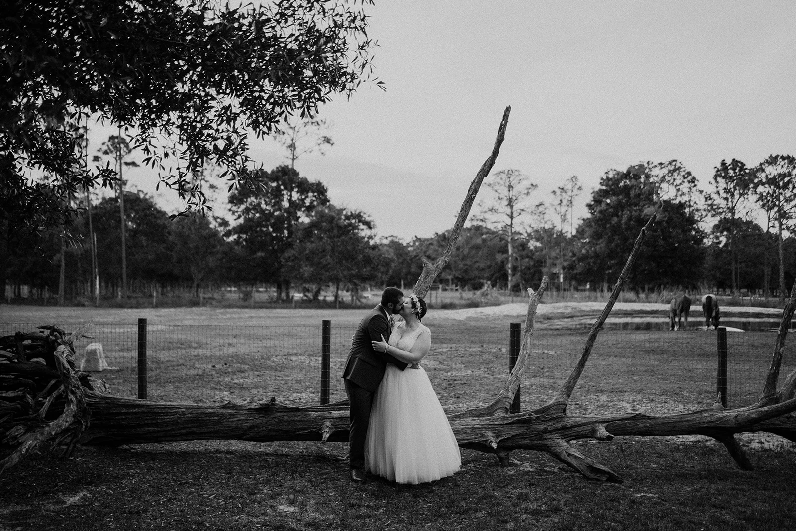 Julia+Tim_0611.jpg