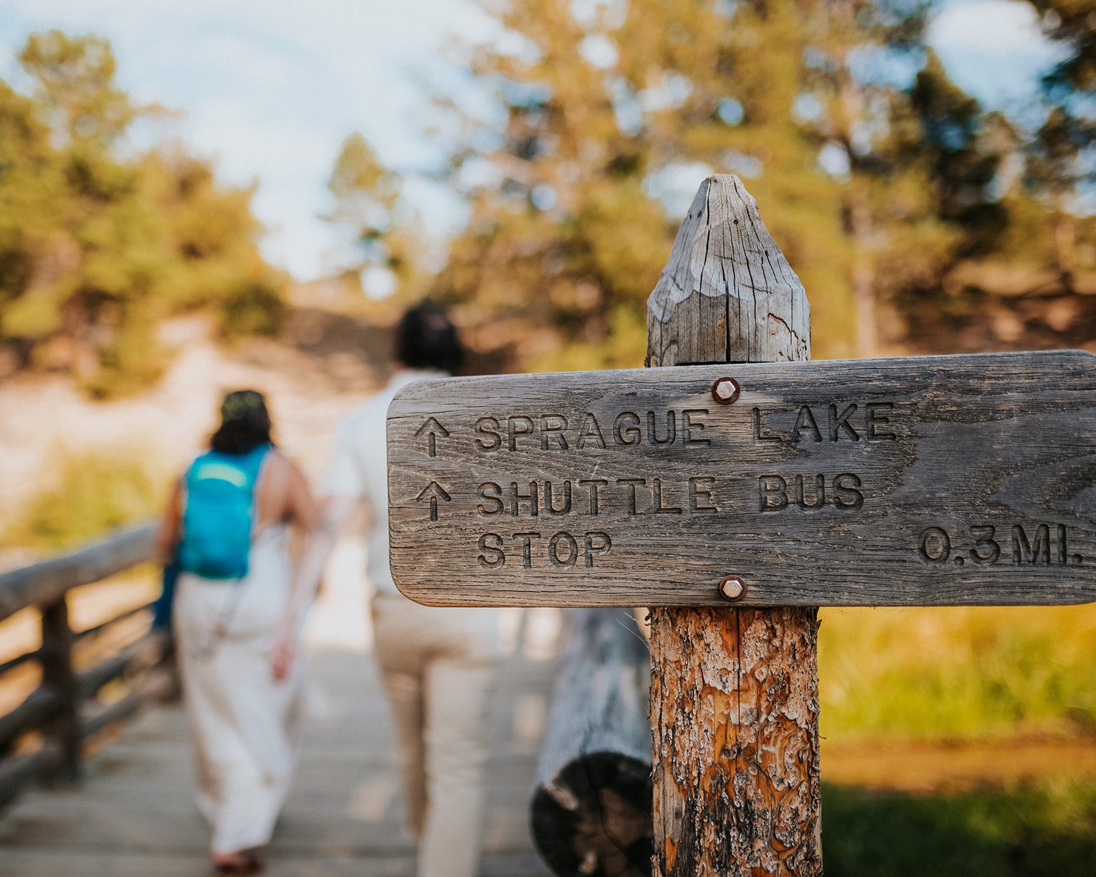 rockiemountaindenvercoloradoelopement_0129.jpg