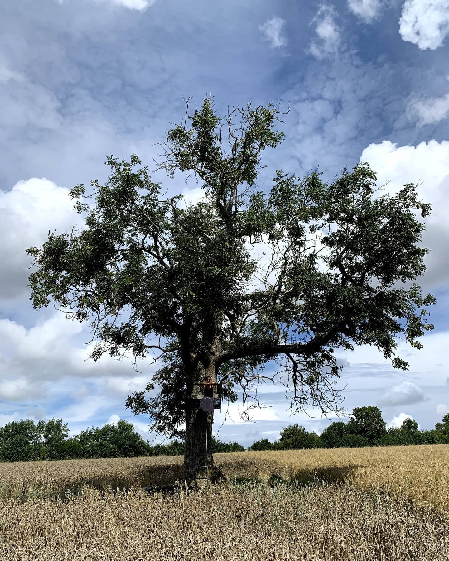 Discovering the absolutely beauty that are UK's public footpaths and our right to roam.