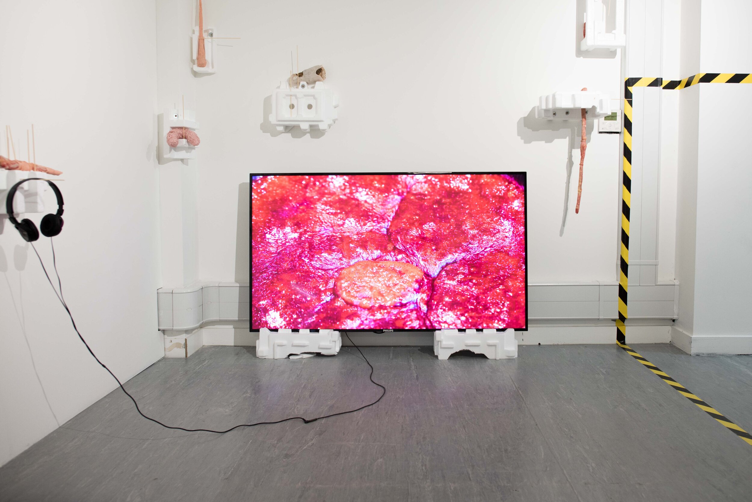 RCA WIP install_2020-4.jpg