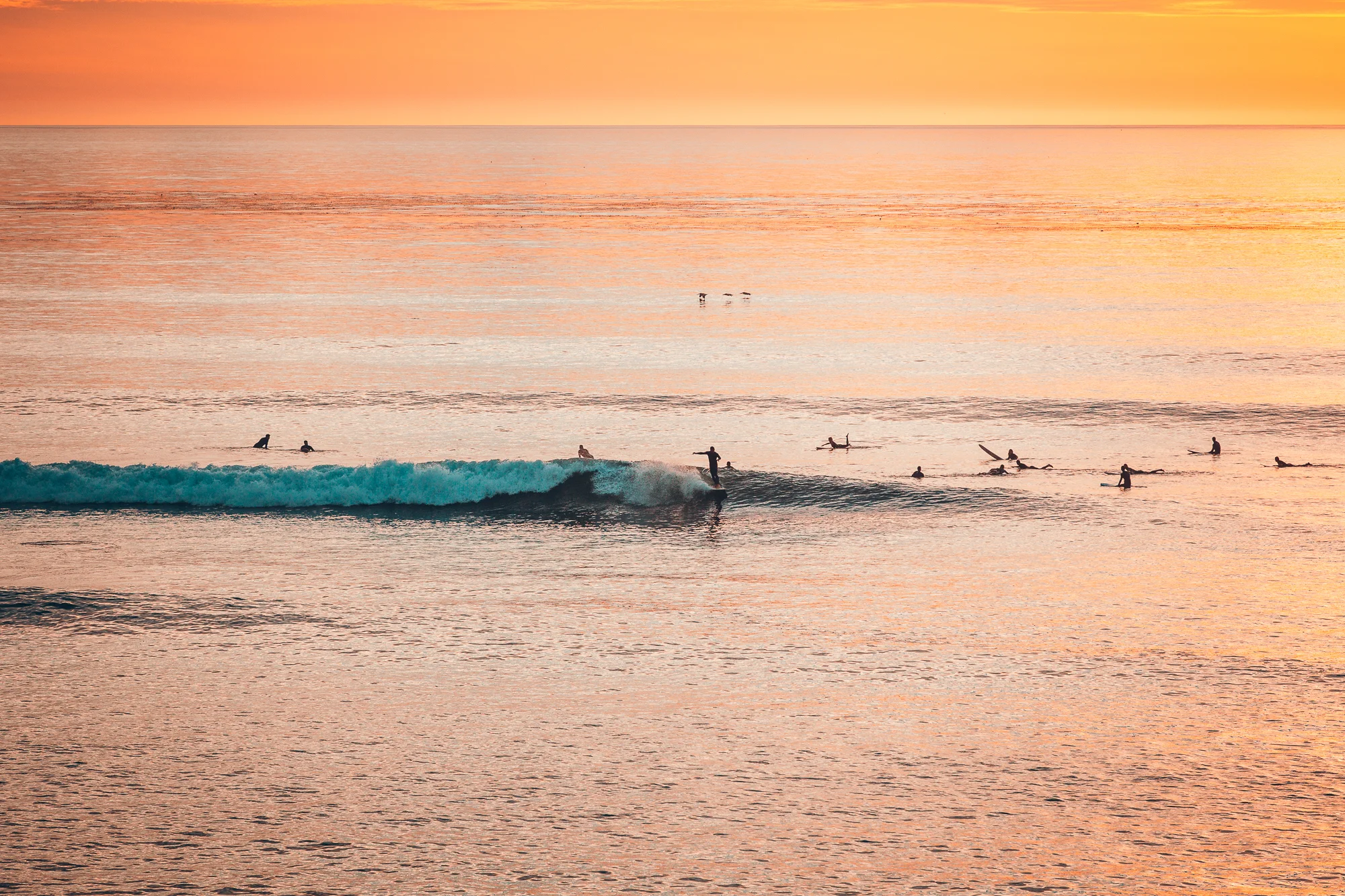 surf-3.jpg